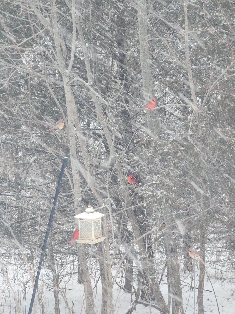 RubySunset tweet media