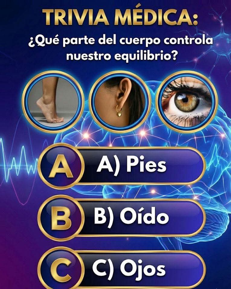 Debbie25💜🇦🇷 tweet media