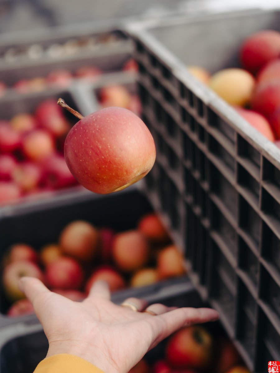 昭和生まれが思わず「ふぞろいの…」と言いかける写真が撮れました。so