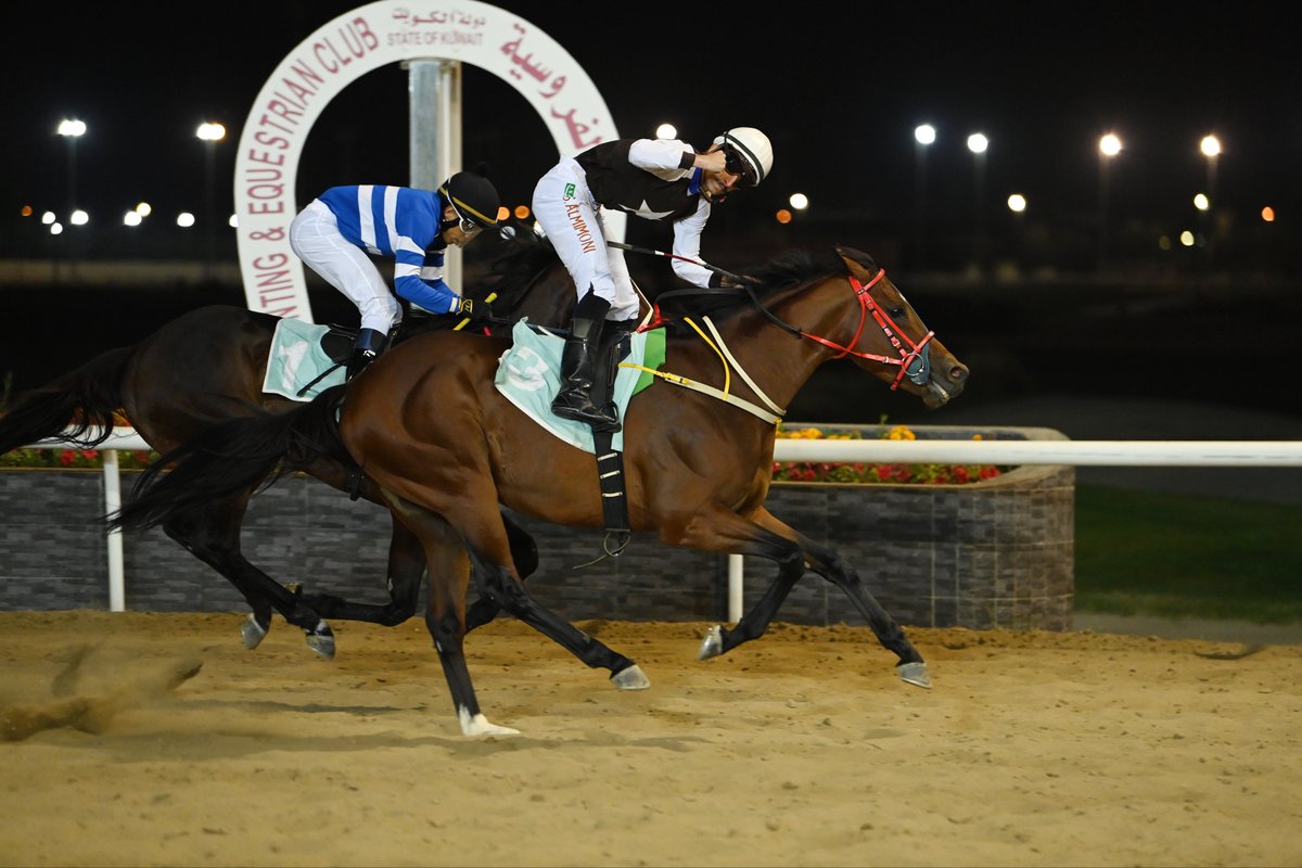 نادي الصيد والفروسية tweet media