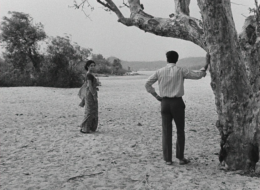 Jake Coyle tweet media