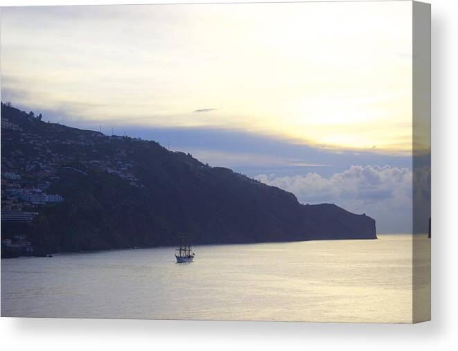 Ydania Ogando tweet media