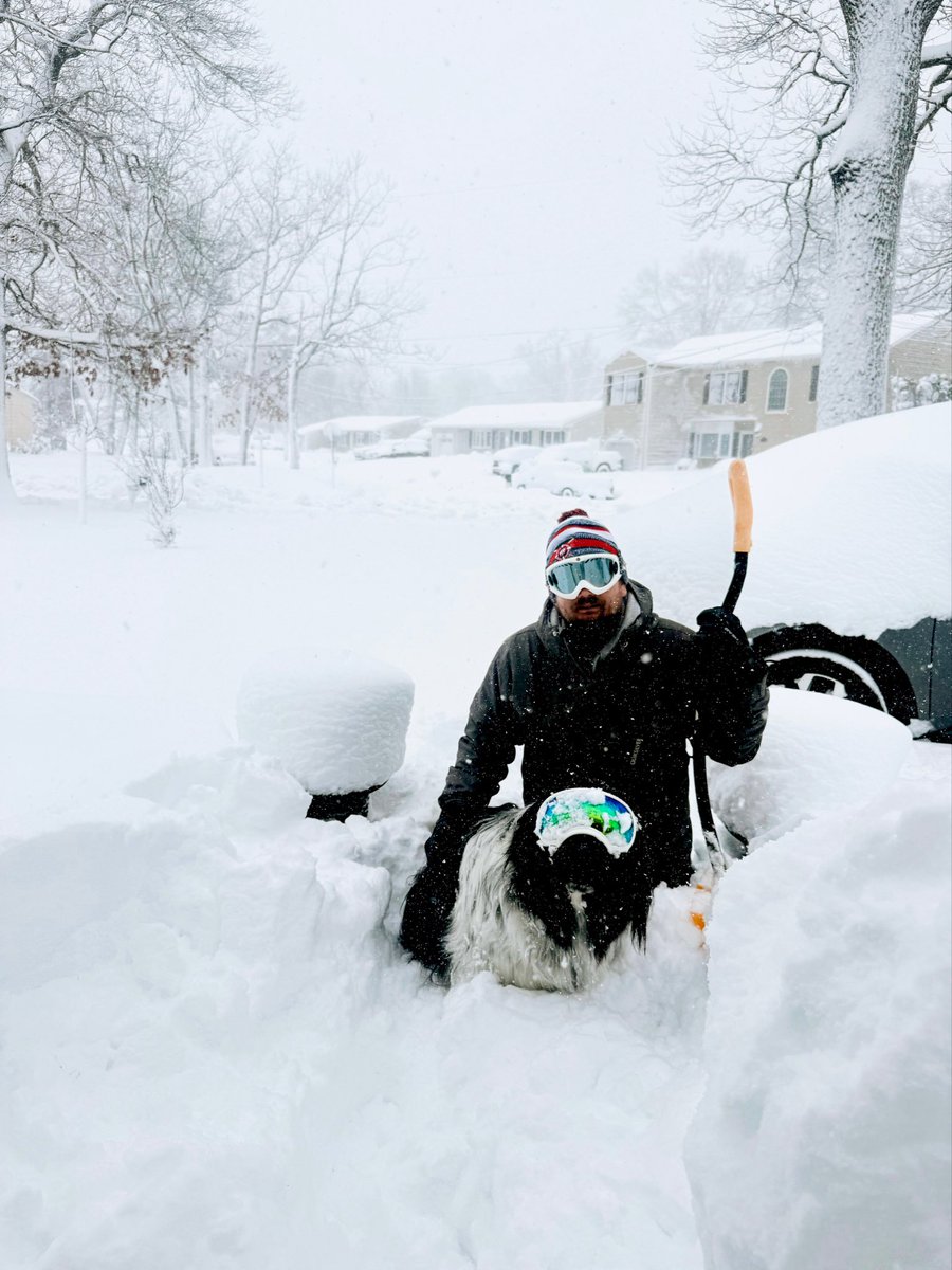 Carol Brown tweet media