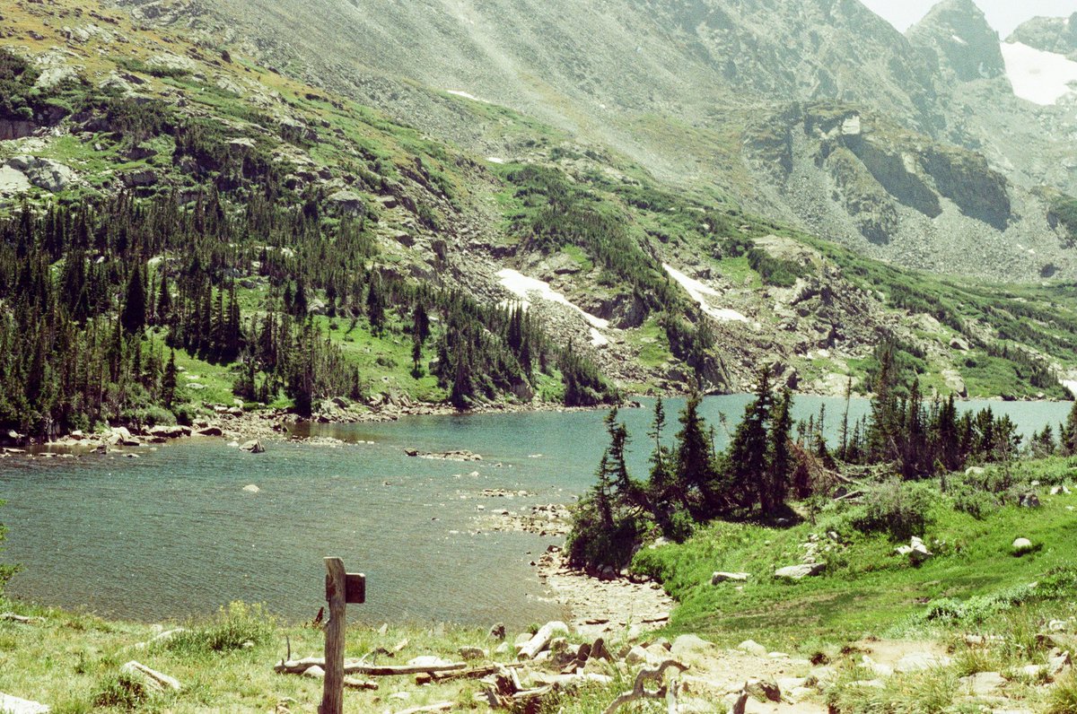 gay guy supreme 🍉 tweet media