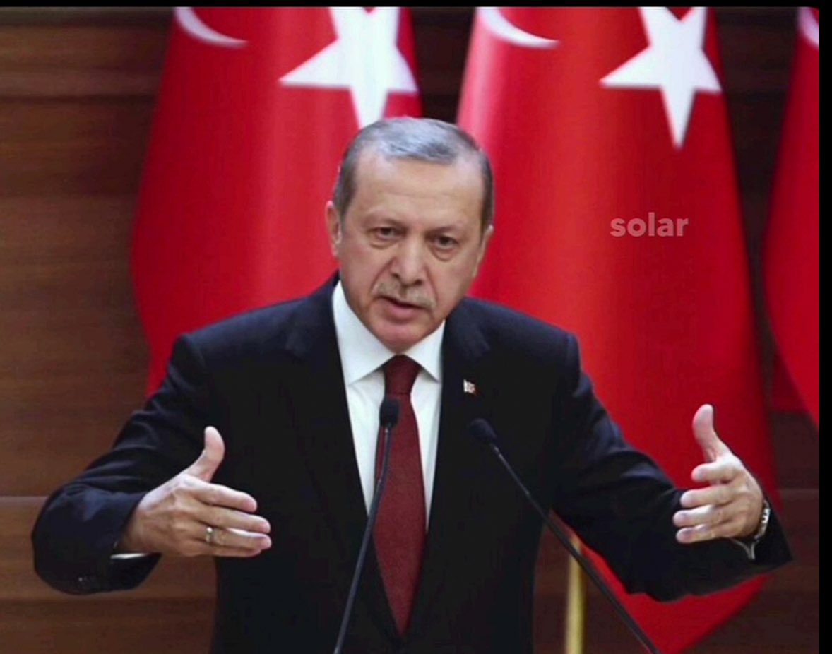 Erfan Ap tweet media