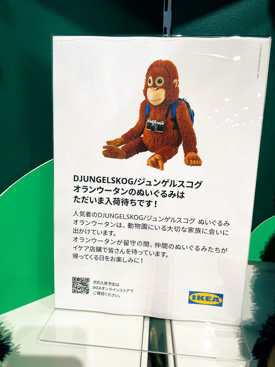 おはようございます🫧 晴れて暖かい連休でしたね🌷 連休明け、少し