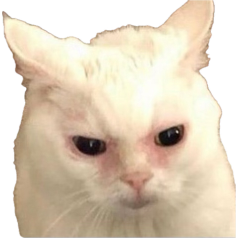 FAWK this TiNi &amp; Toman b2b gatos conflict has me
