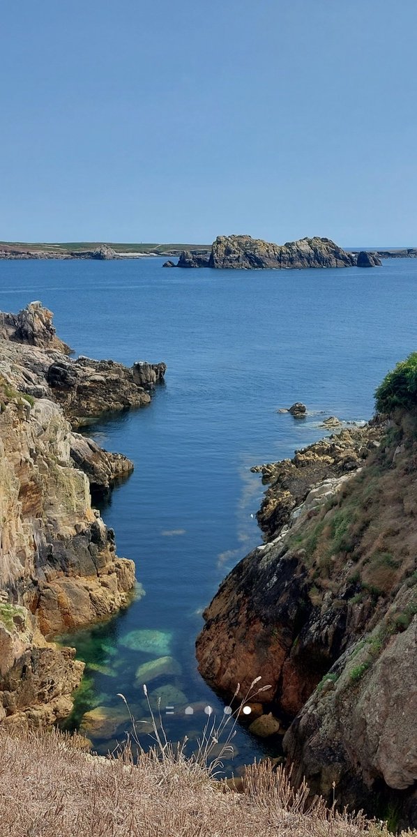 C - May 2026 bring Aslan and Borna back on top tweet media