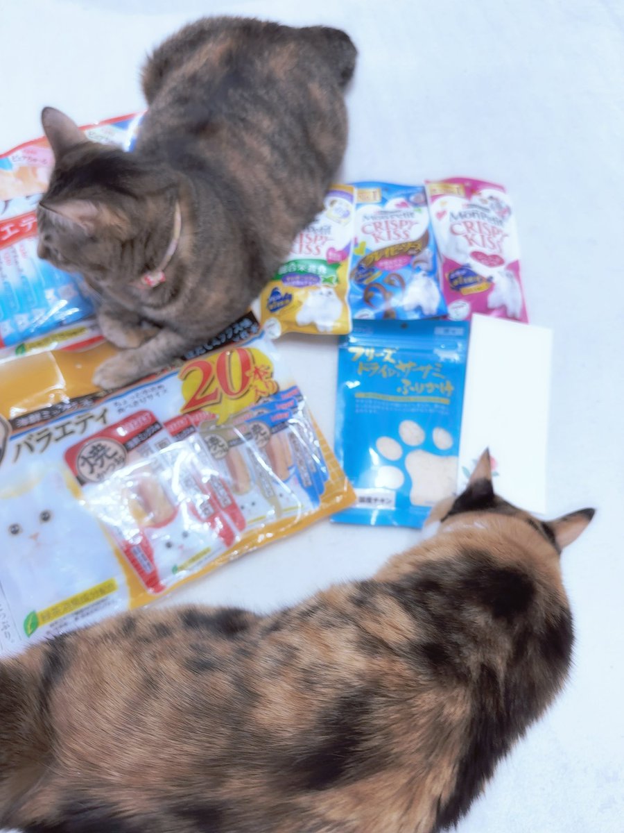 mananyan♡ tweet media