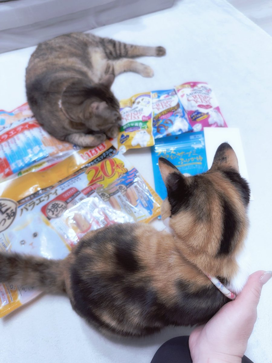 mananyan♡ tweet media