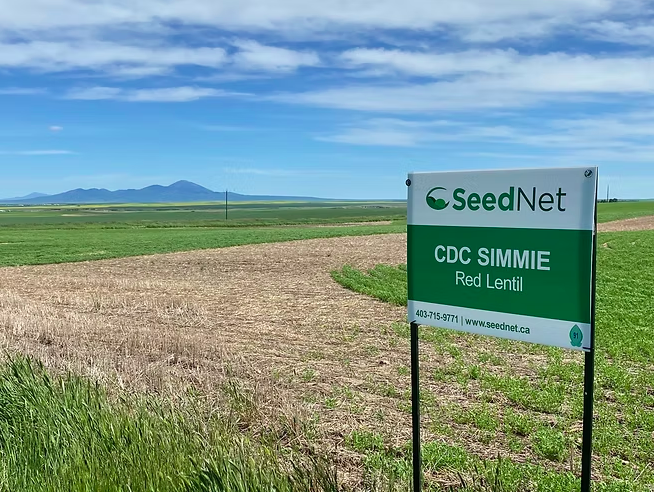 SeedNet Inc. tweet media