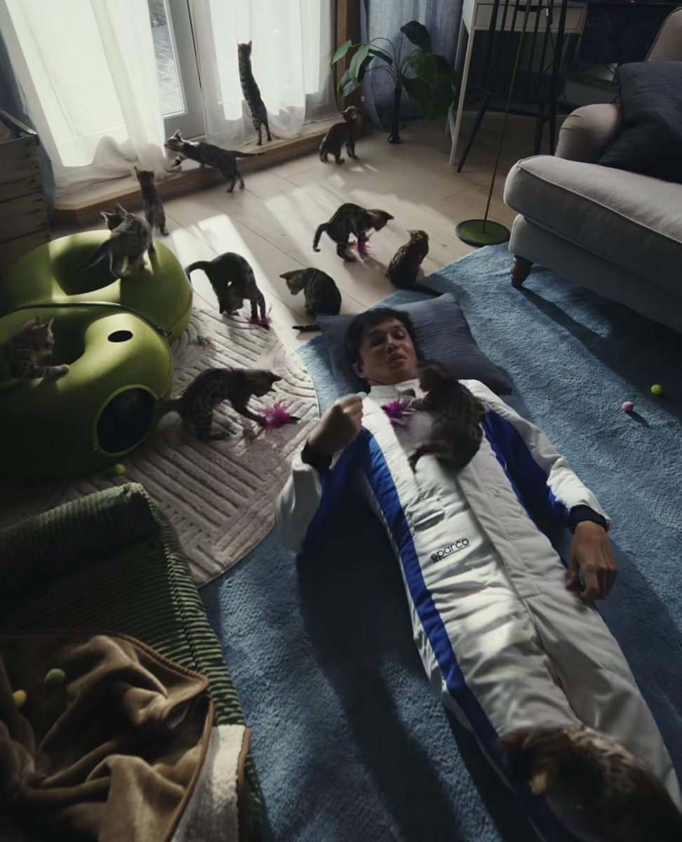 พ่อแมววว