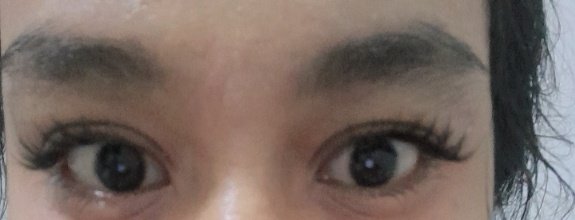 irldumpbib's tweet photo. extension??? no no no no this is MLEN DIARY LOW IRIS, gw cintaa mati sm ini bulumata alias cakep poll
klo pke fake lashes ini pasti tmn' kampusku pada bilang ini extension
https://t.co/XMGSRtZ4uL https://t.co/RJl3AInug2