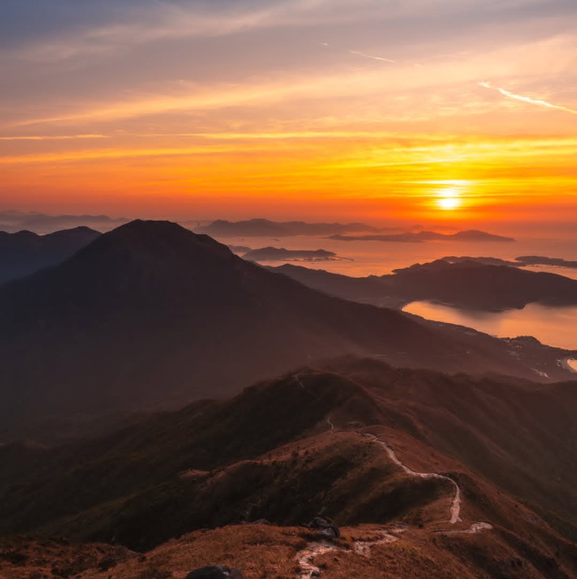 DD❤️/🕊️/DOGE tweet media