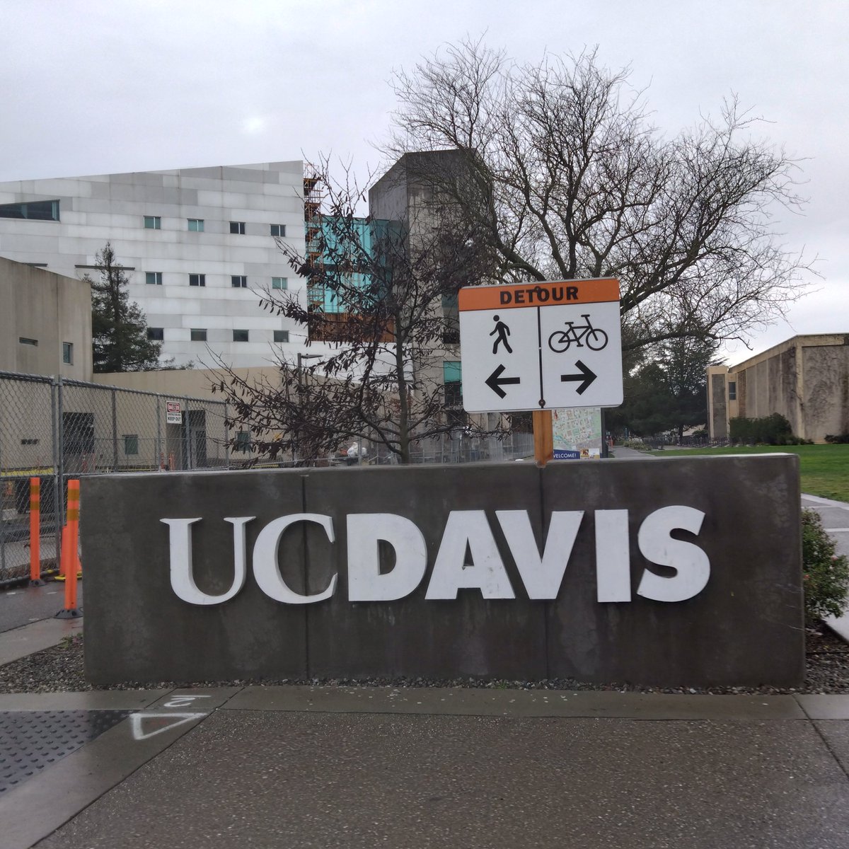 yamanashi_uwine's tweet image. UC DavisのGrape Dayに参加したスタッフから写真
1日通してUC Davisの教員の方々からの数多くの 
講演があり、非常に勉強になったようです。
Foundation Plant Servicesも見せてもらい（写真は✕）、驚きの連続だったようです。
#UCDavis