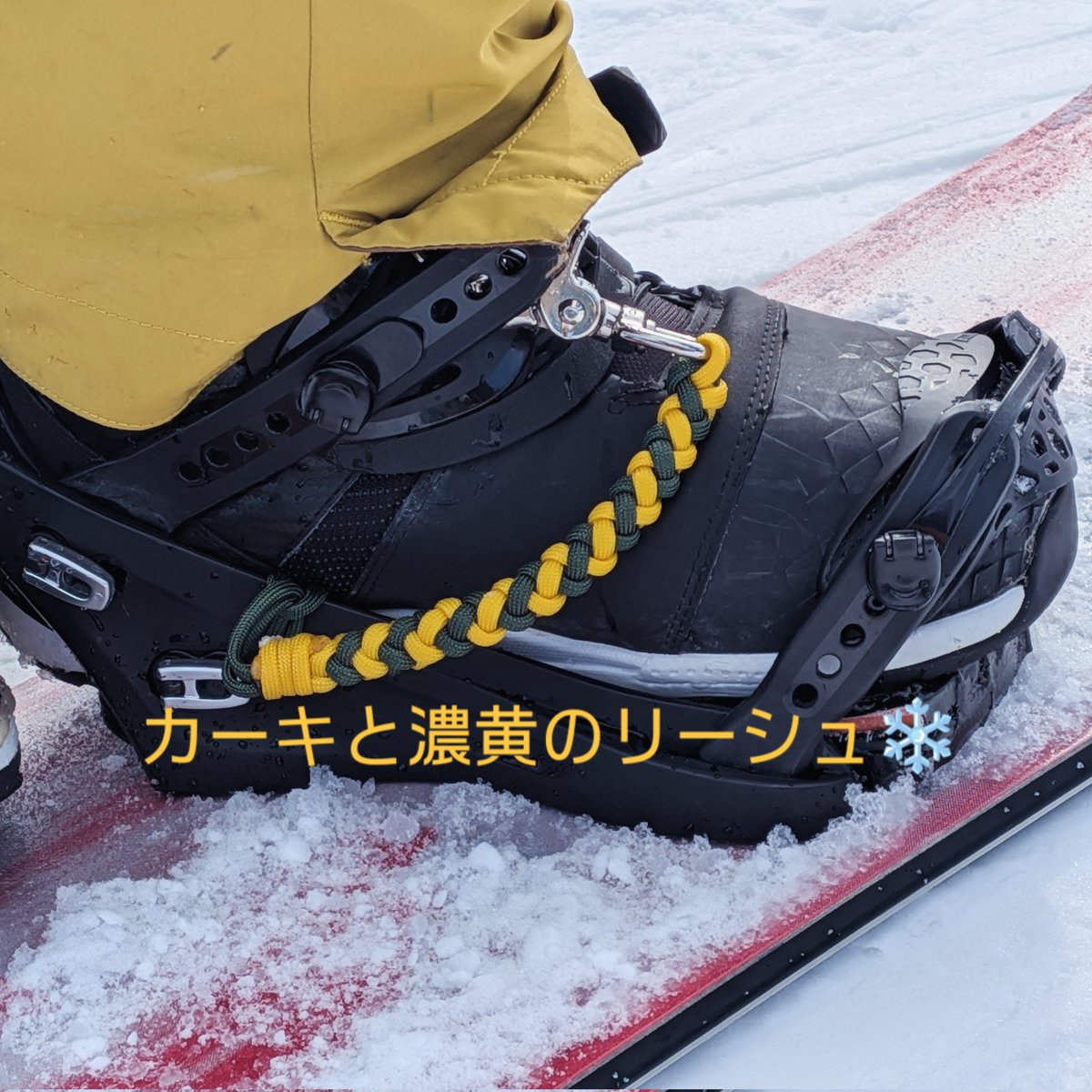 Triangel tweet media