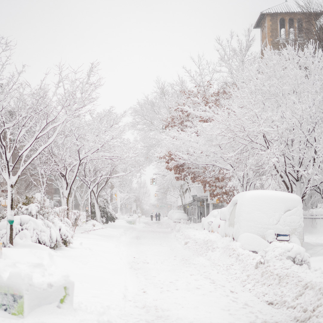 ChrisBanuchi's tweet photo. Some shots from this morning during the blizzard https://t.co/9SouK66MI6