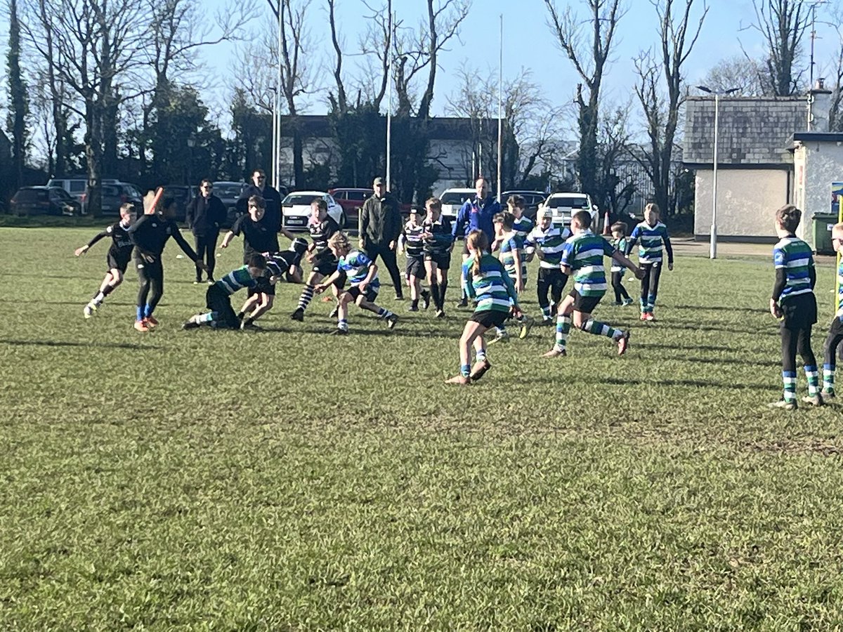 goreyCCRO tweet media