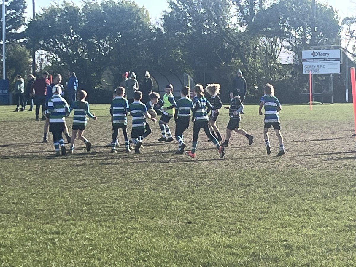 goreyCCRO tweet media