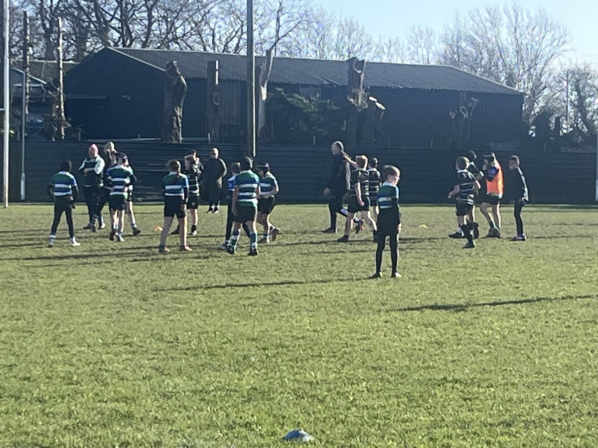 goreyCCRO tweet media