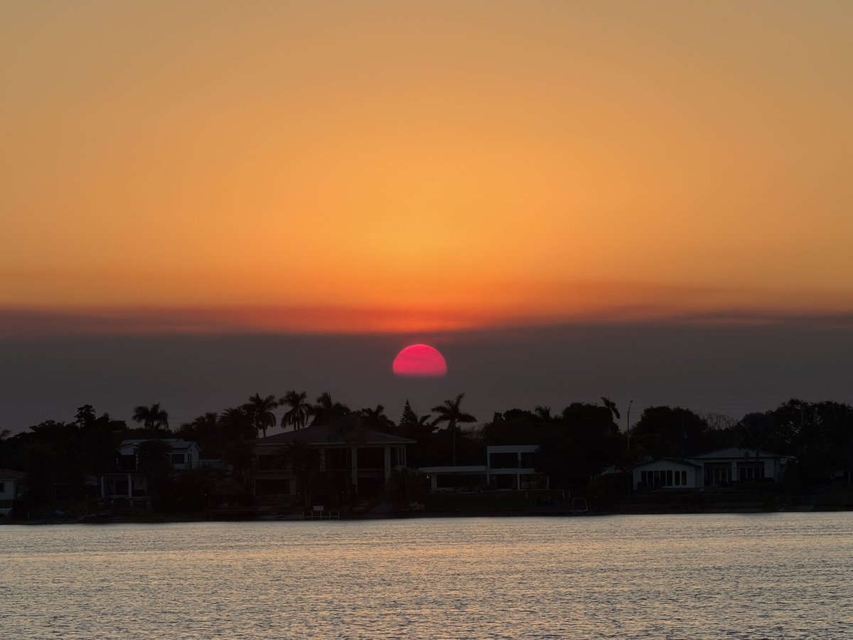 Ali ☀️ tweet media