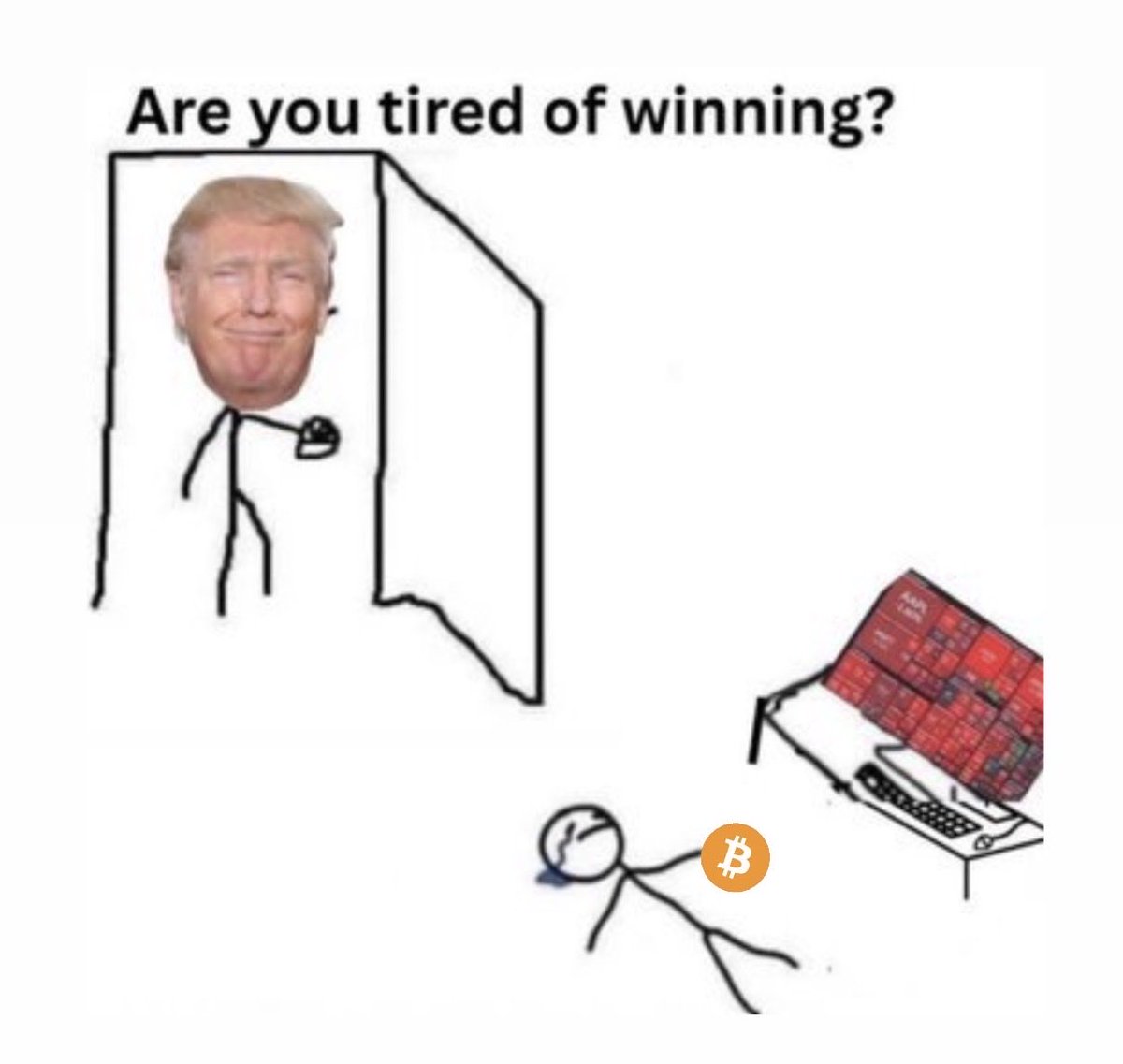 The ₿itcoin Therapist tweet media