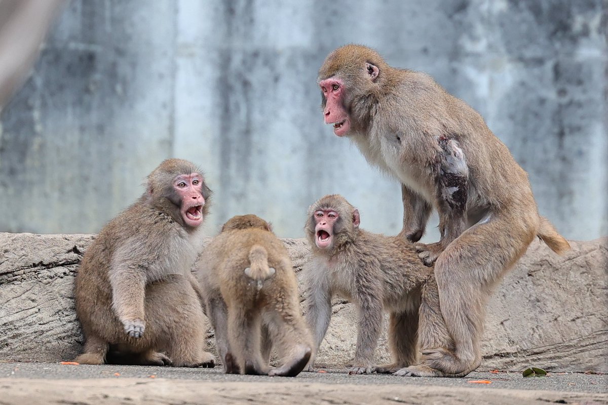 さっちゃん (@Sacchan31) / Posts / X