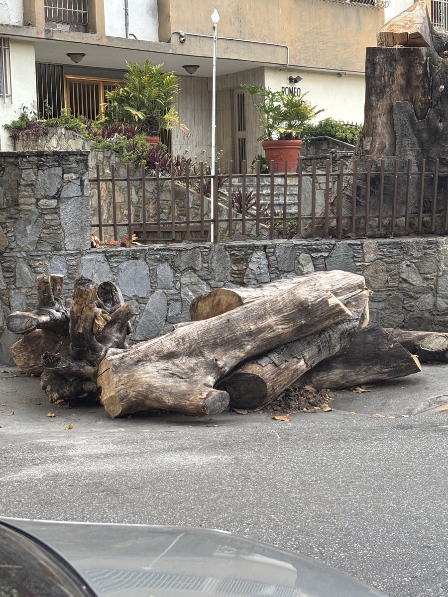 Algún artesano que haga maravillas con la madera estos troncos los consigue en El Paraíso, Callejón Machado frente al Edificio El Romeo. A los que hacen mesas con madera y resina epóxica también les sirve!