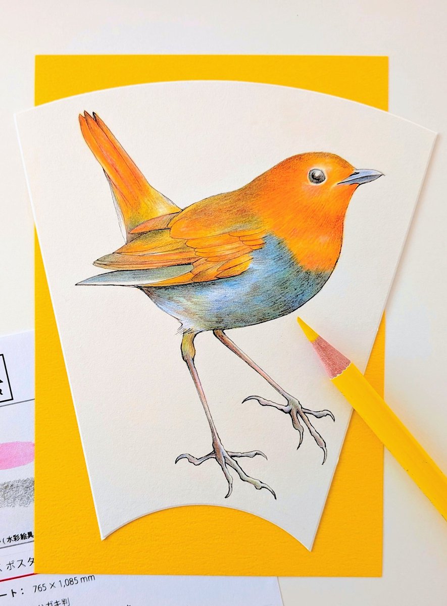 おはようございます♪ 小鳥の肖像画風 8枚目 足取り軽やかなコマドリ