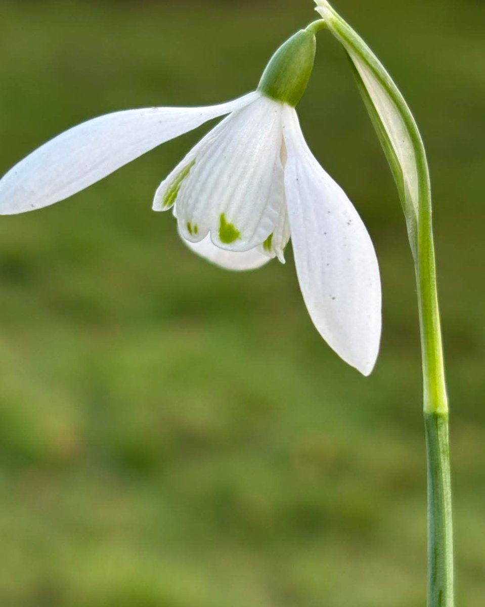 MtBriscoeOrganicFarm tweet media