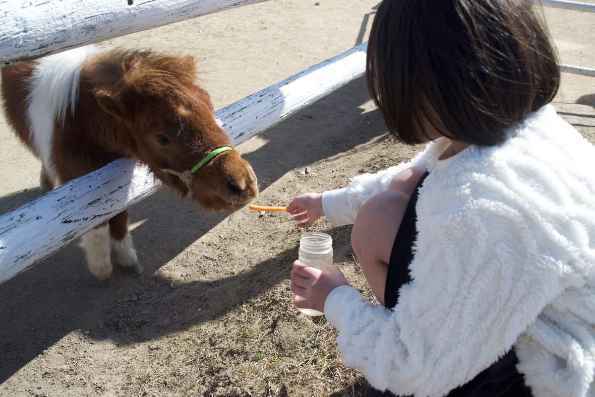 エナコ@猪突猛進れーしんぐ tweet media