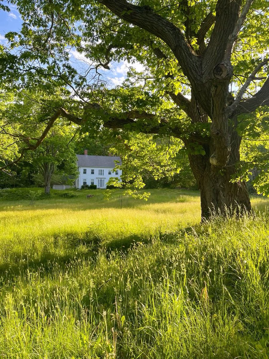 This and a racist blonde in a sundress