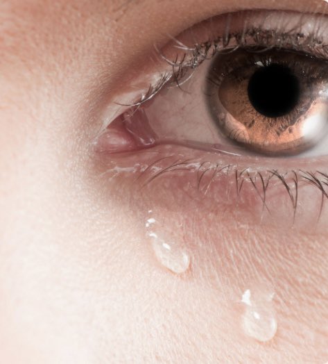 Igor Rabiner tweet media