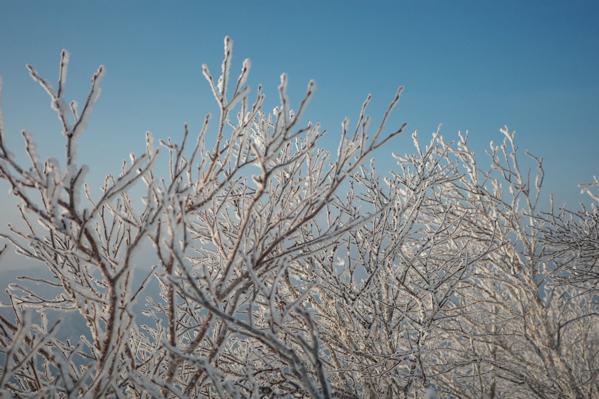 SHOGO / 岩田 庄悟 tweet media
