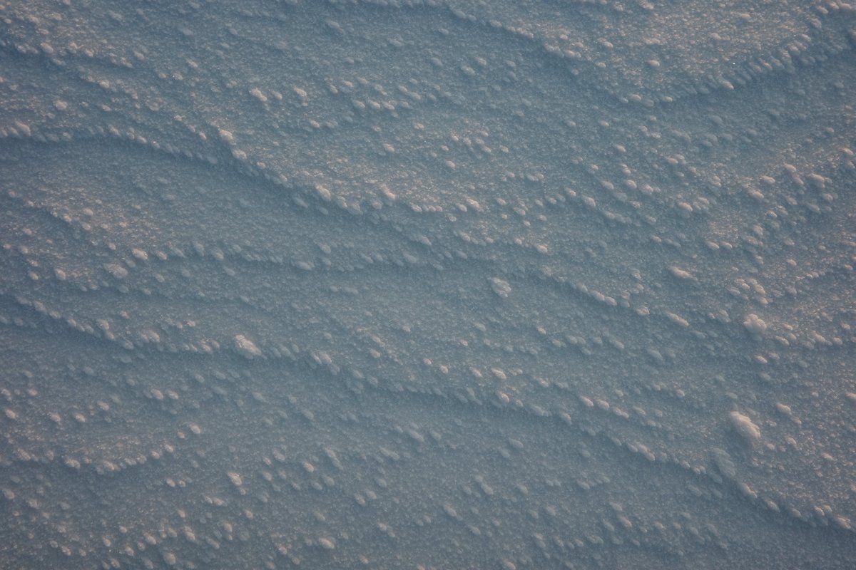 SHOGO / 岩田 庄悟 tweet media