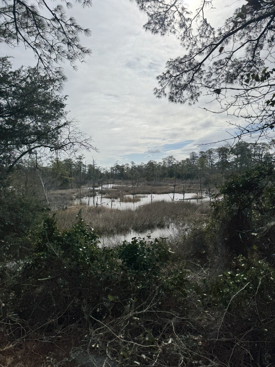 Ryan Willam tweet media