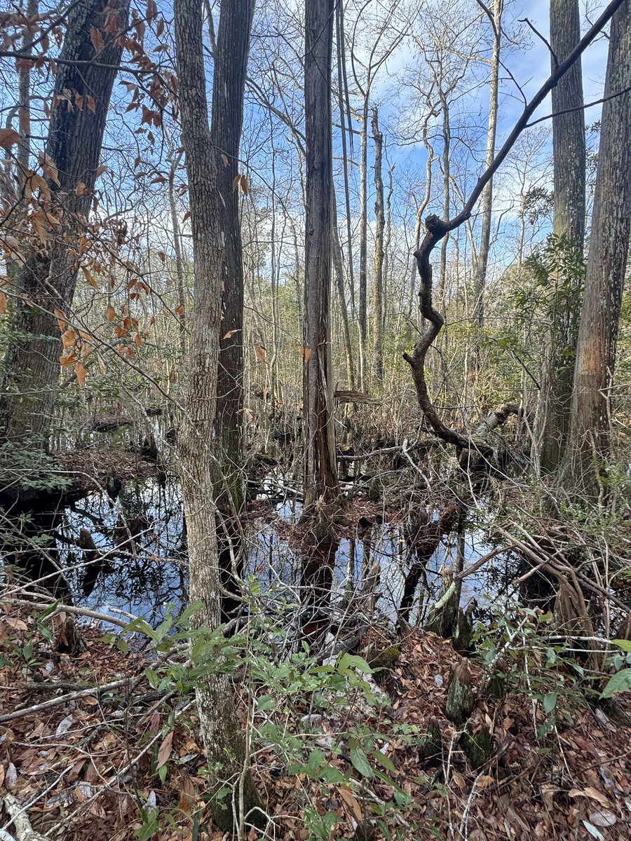 Ryan Willam tweet media