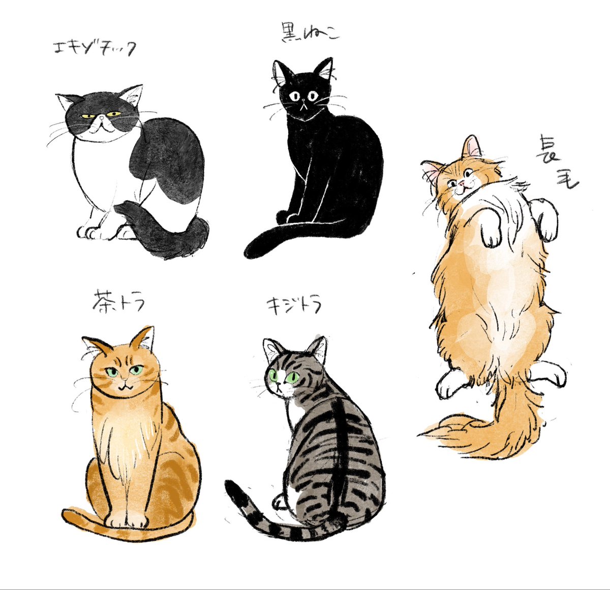 表紙案の猫ちゃんたち🐈‍⬛ キジトラは裏表紙に使っていただきました✨