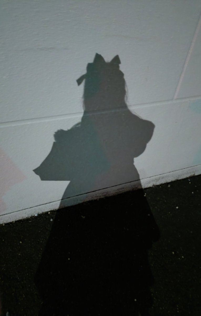 🦇吸血姫†蓮🌹 tweet media