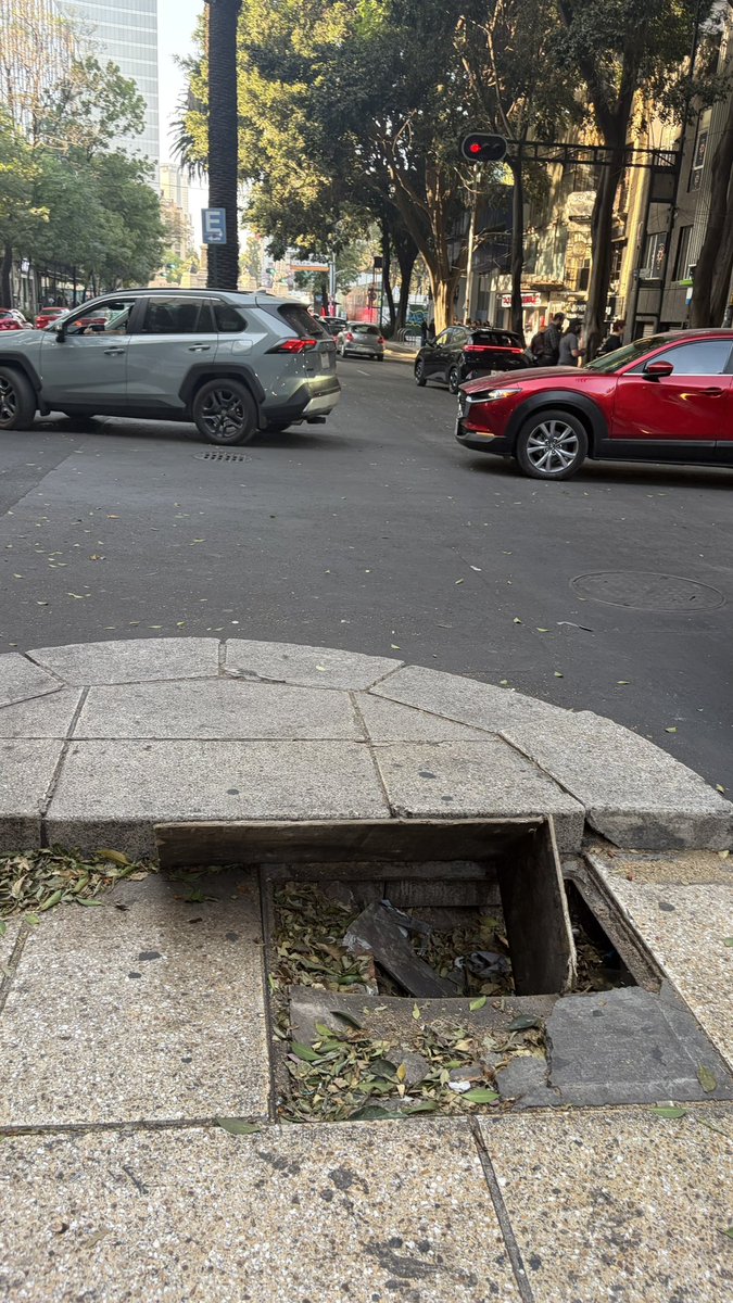 Círculo Diverso A.C. tweet media