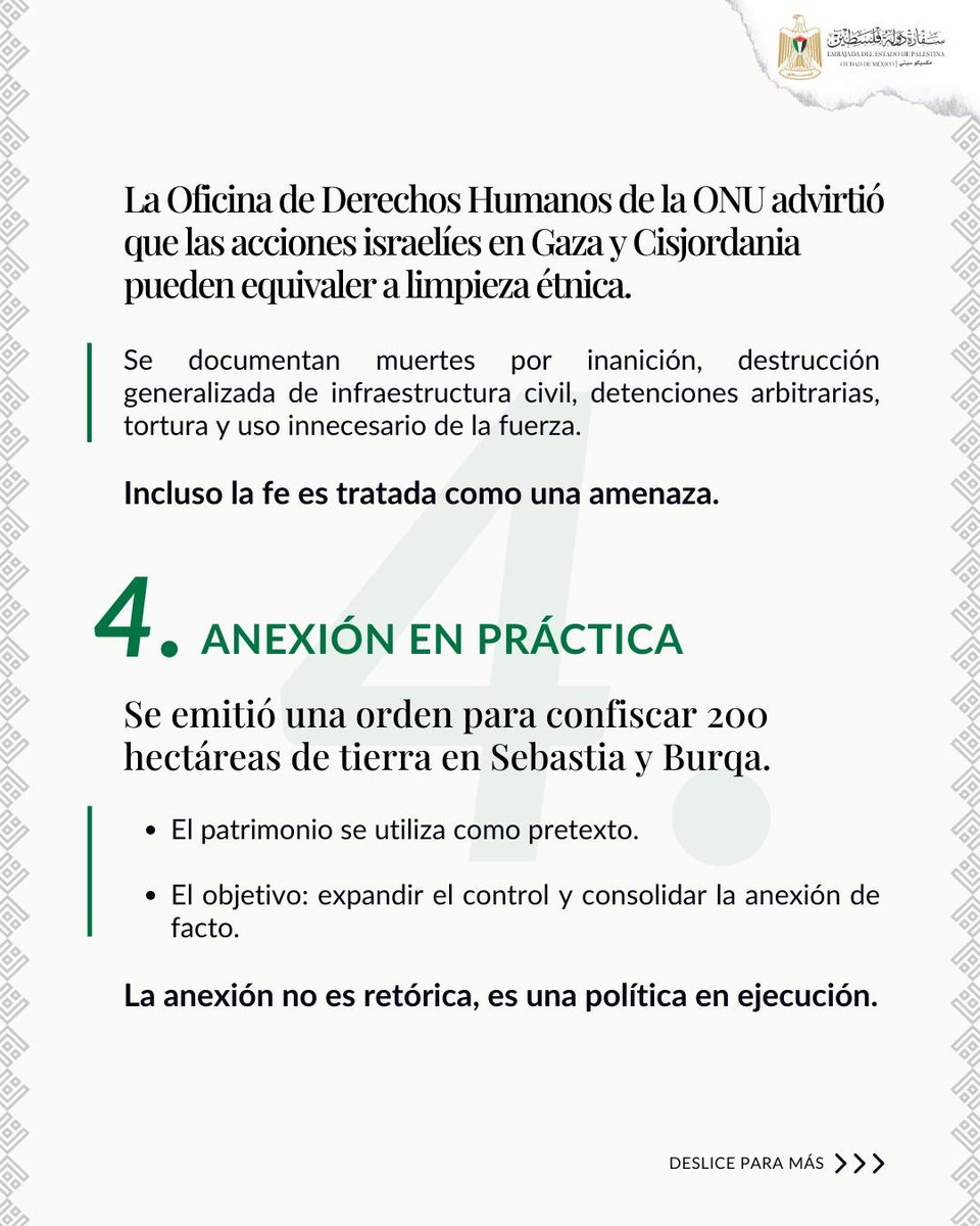 PalestineMX's tweet photo. 🚨Informe semanal sobre la situación en Palestina ocupada
📆 16 - 23 de febrero de 2026

Un panorama de las noticias de la semana pasada desde Palestina.
Las voces informadas importan. Mantengamos a Palestina visible. https://t.co/bLLJxWoYda