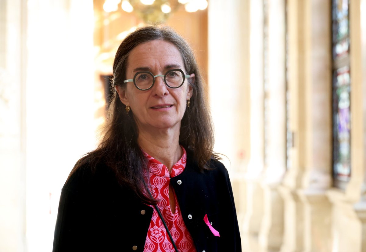 Paris : la maire écologiste du XIIe arrondissement visée par une enquête interne pour harcèlement
➡️ l.leparisien.fr/xD9h