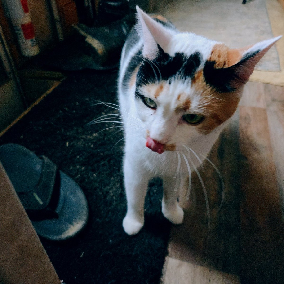 if the devil is 6, then god is 7