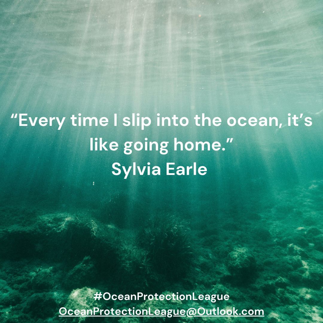 OceanProtectionLeague tweet media
