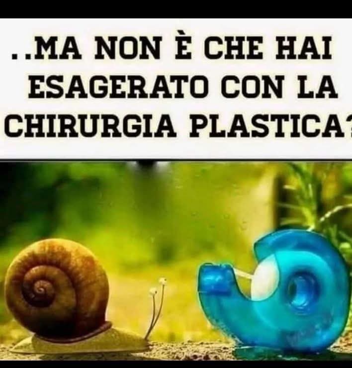 TeresaMelani12's tweet photo. https://t.co/v7ExpoQMcu
