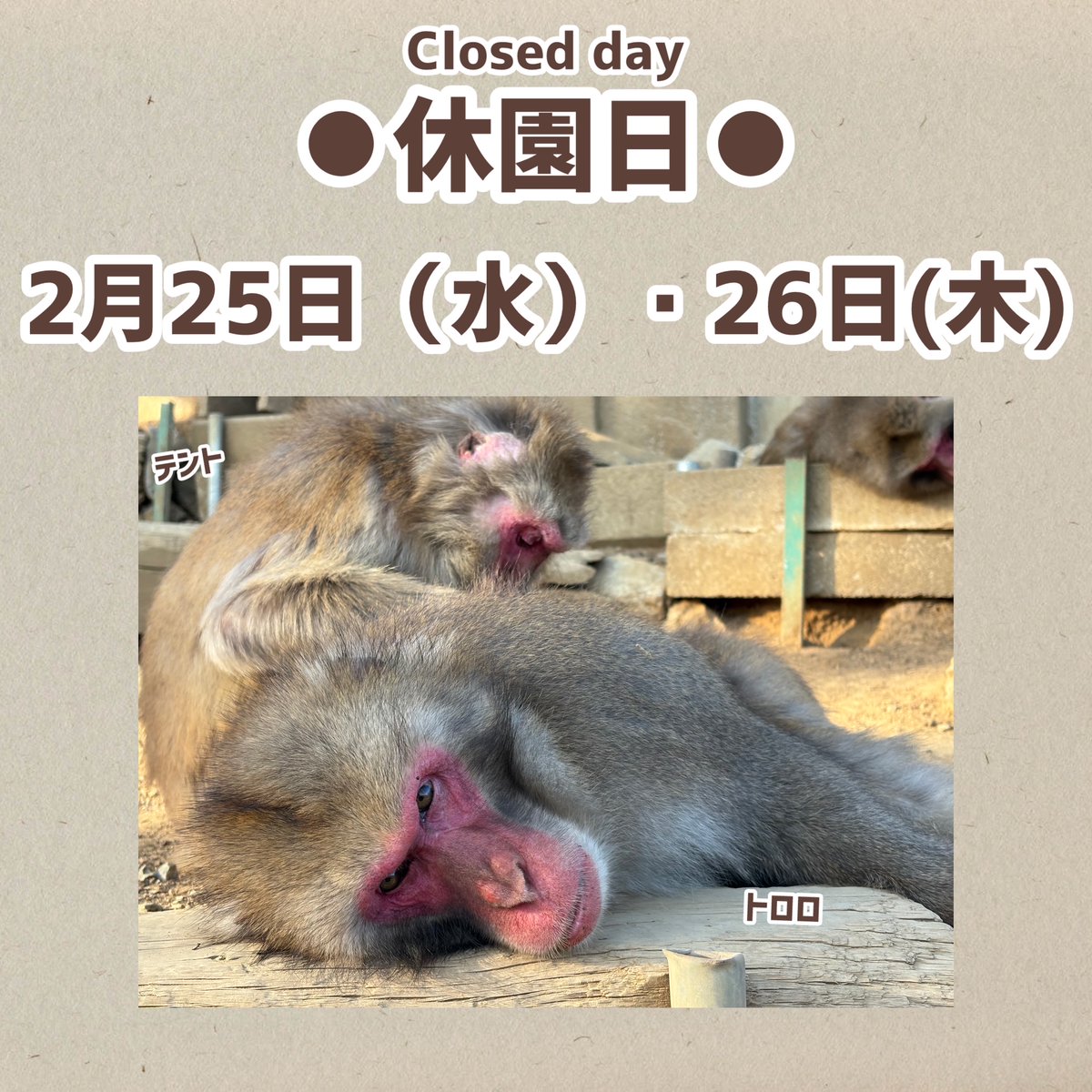 休園日のご案内】 2月25日（水）と26日（木）は休園日となります