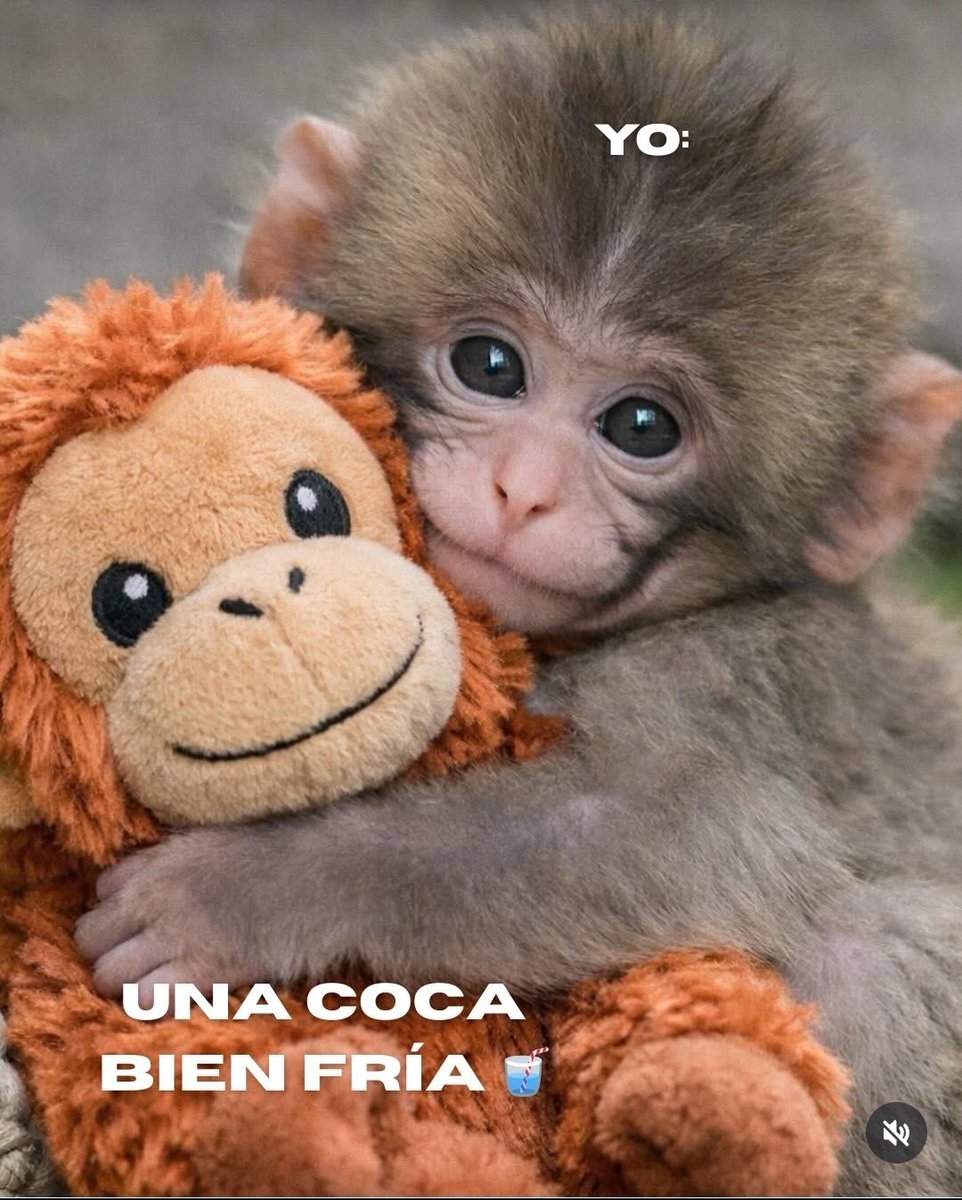 Víctor Esparza tweet media