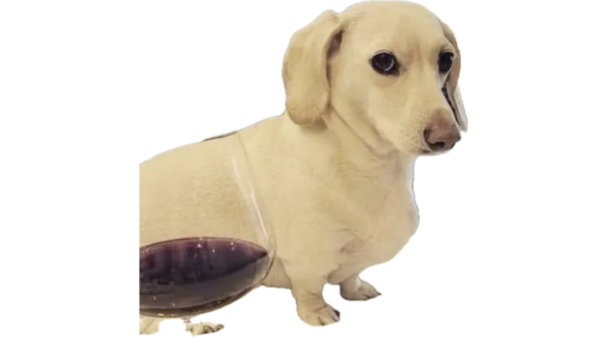 Doesn't_Doe tweet media