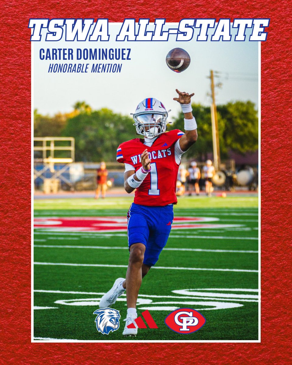 Gregory-Portland Fighting Wildcat Football tweet media