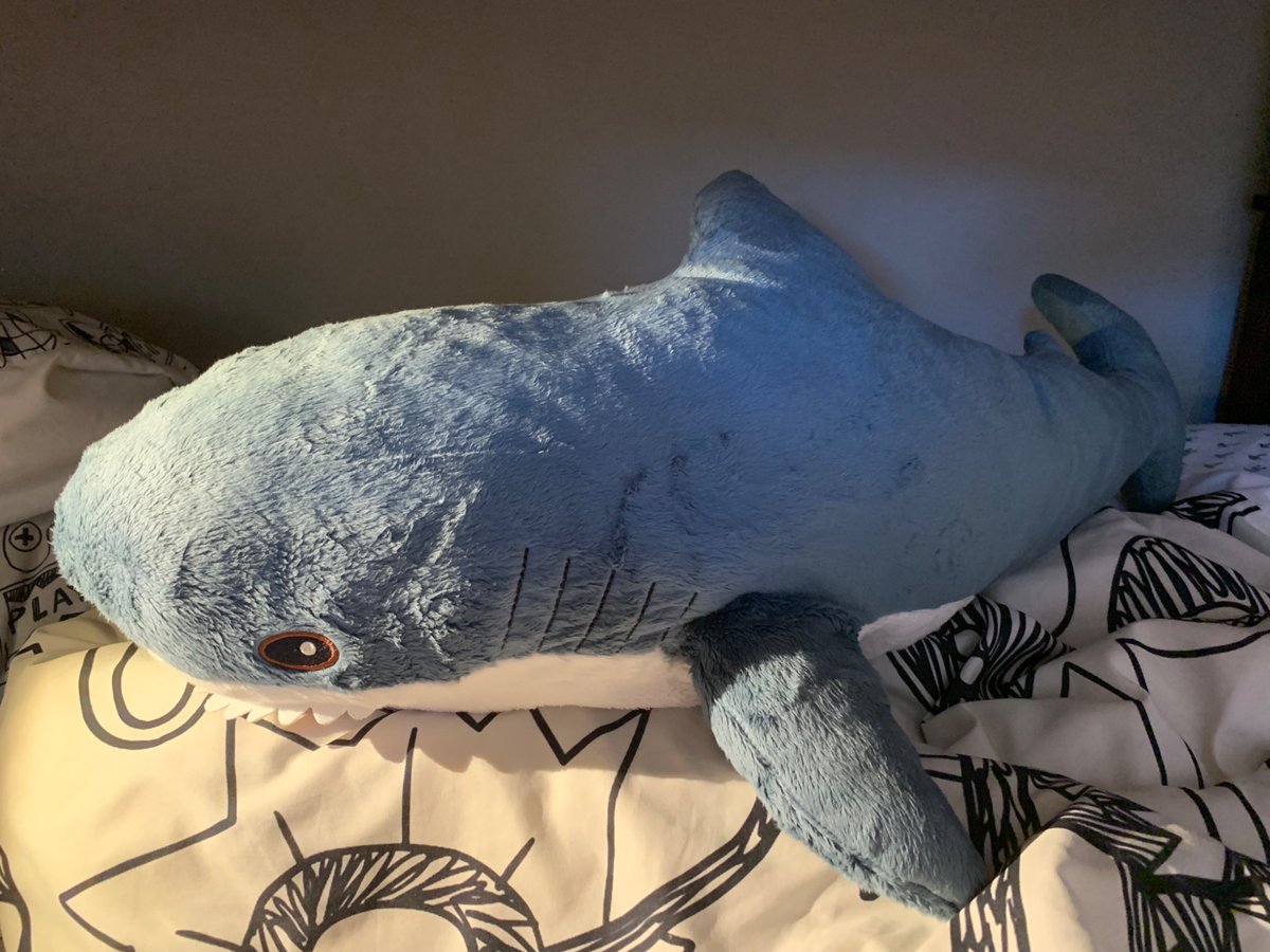 with inspiration from @/CopperCultist i’ve decided to name her Nellie :)